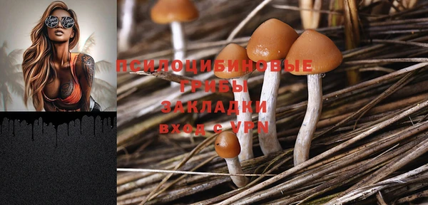 соль курить ск Липки
