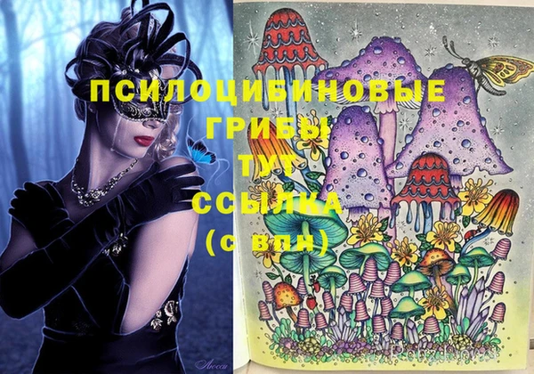 ГАЛЛЮЦИНОГЕННЫЕ ГРИБЫ Лиски