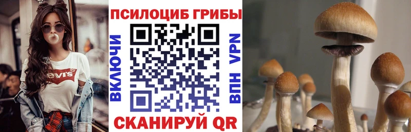 цена   Ростов  Галлюциногенные грибы MAGIC MUSHROOMS 